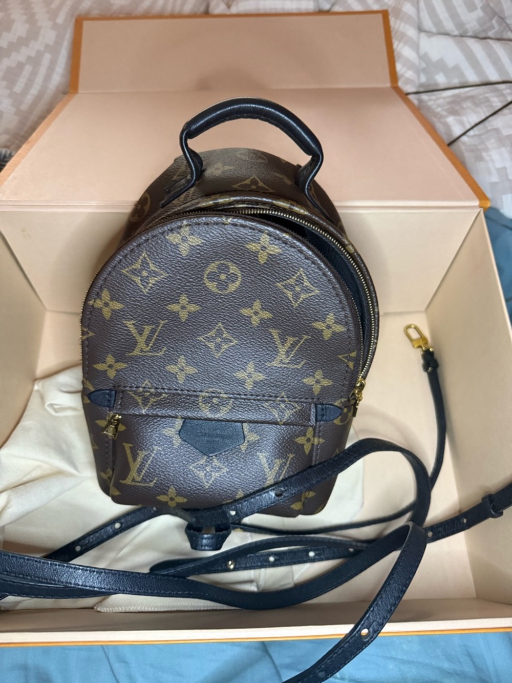 Louis Vuitton Palm Springs Mini